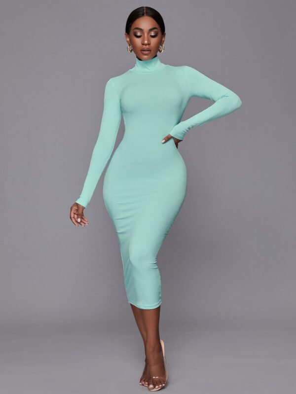 Lily Tuckle Neck Body Dress